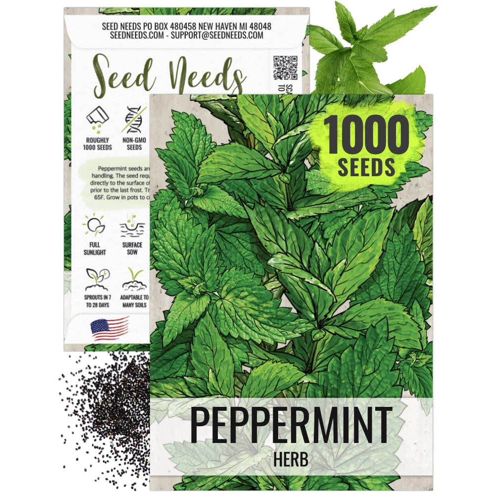 where are the seeds on a mint plant Peppermint Herb Seeds For Planting (Mentha piperita)