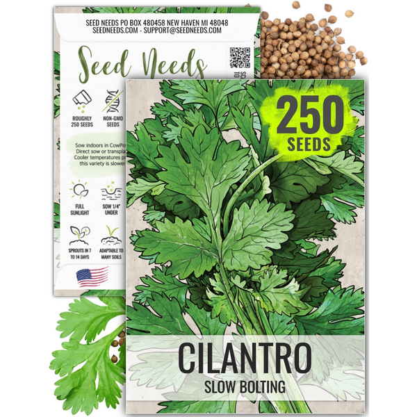 Cilantro Herb Seeds For Planting (Coriandrum sativum)