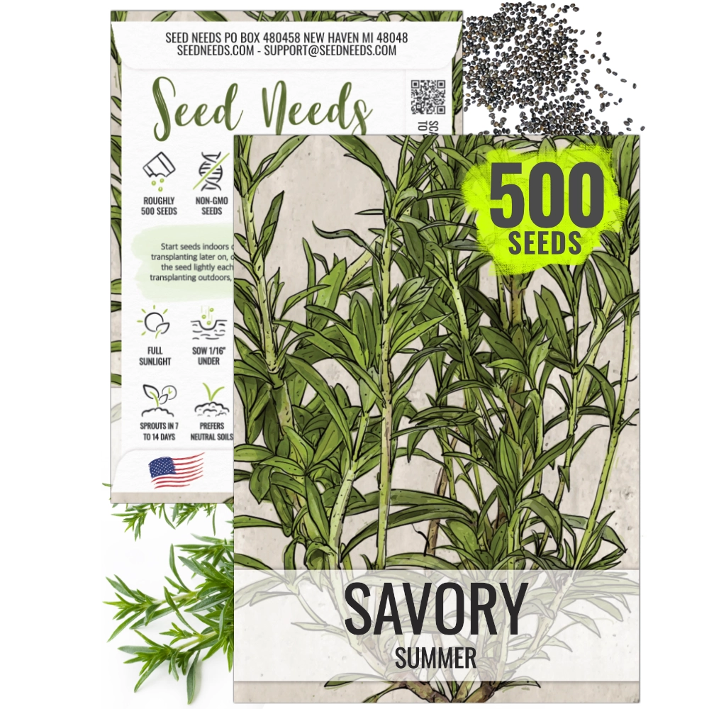 Summer Savory Herb Seeds For Planting (Satureja hortensis) – Seed Needs LLC