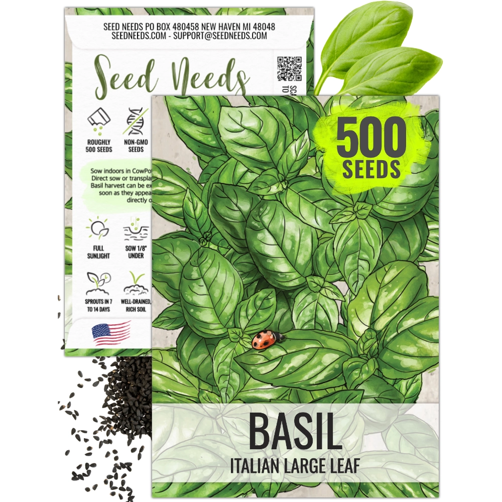 basil seeds plant Italian Large Leaf Basil Seeds For Planting (Ocimum basilicum) – Seed Needs  LLC