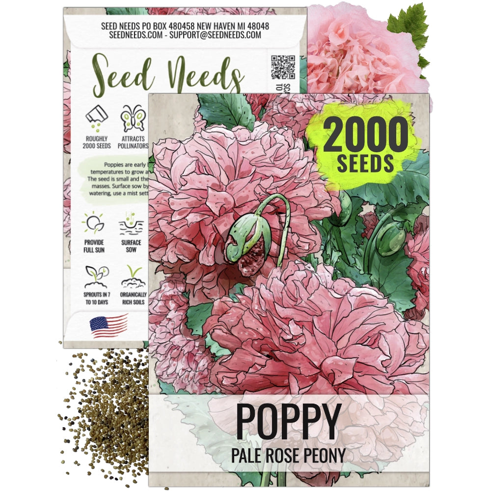 peony flower seeds Pale Rose Peony Poppy Seeds For Planting (Papaver paeoniflorum) – Seed Needs LLC