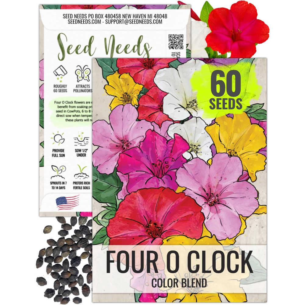office time plant seeds Mixed Four O' Clock Seeds For Planting (Mirabilis jalapa) – Seed Needs LLC