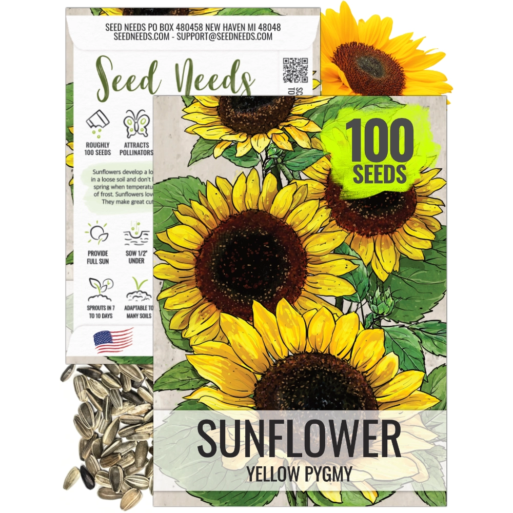 sun haven flower seeds Yellow Pygmy Sunflower Seeds For Planting (Helianthus annuus) – Seed Needs LLC
