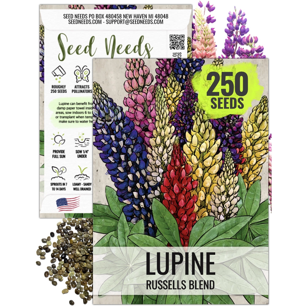 Lupine Russell Seeds For Planting (Lupinus polyphyllus) Seed Needs  Seed  Needs LLC