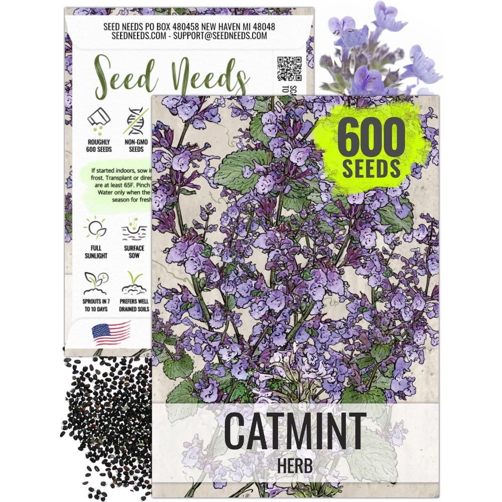 senetti plant seeds Catmint Herb Seeds For Planting (Nepeta mussinii) Seed Needs – Seed Needs LLC