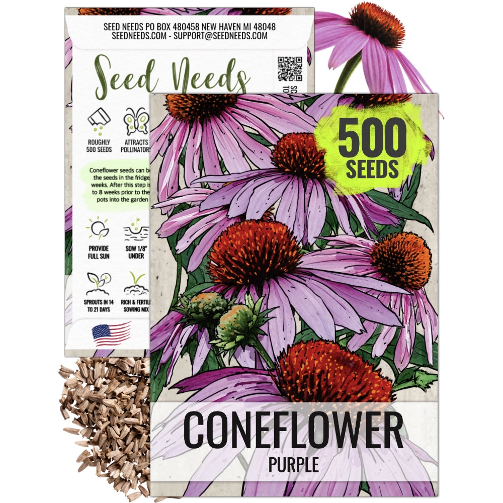 Purple Coneflower Seeds For Planting (Echinacea purpurea) Seed Needs – Seed  Needs LLC