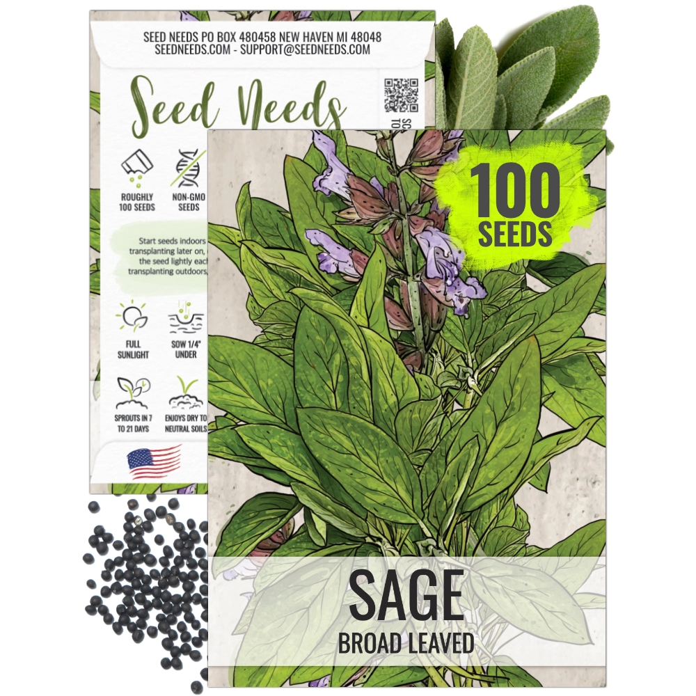 healing garden seeds Sage Herb Seeds For Planting (Salvia officinalis) – Seed Needs LLC