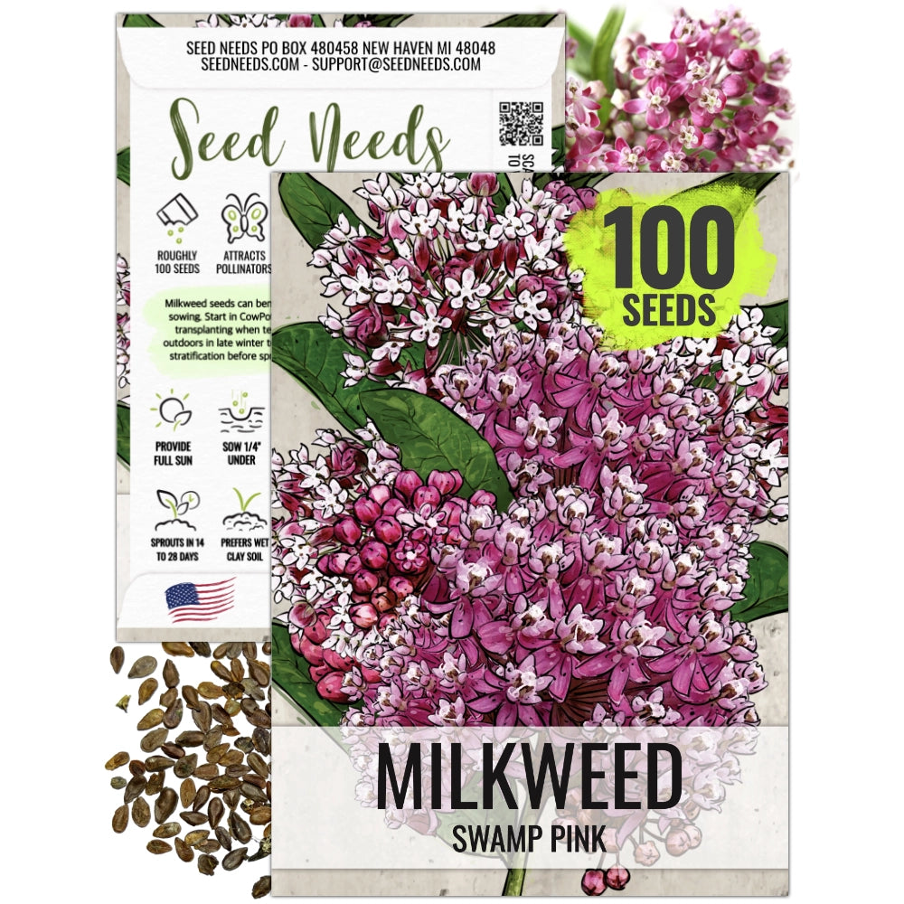 seeds to plant in late spring Pink Swamp Milkweed Seeds For Planting (Asclepias incarnata) – Seed Needs LLC
