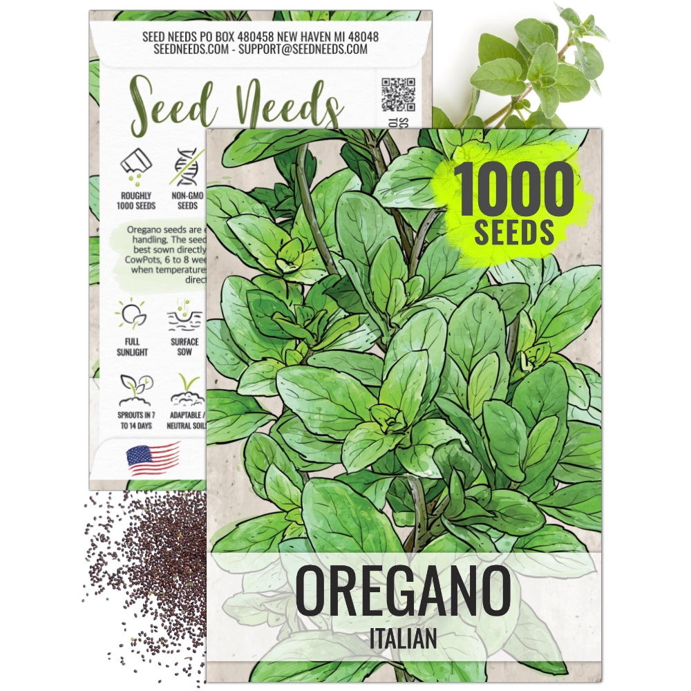 oregano plant going to seed Italian Oregano (Origanum vulgare) – Seed Needs LLC