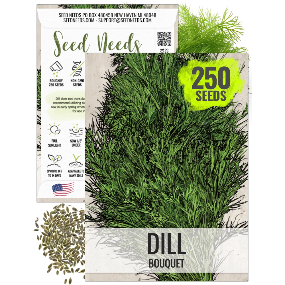 Dill Herb Seeds For Planting (Anethum graveolens) – Seed Needs LLC