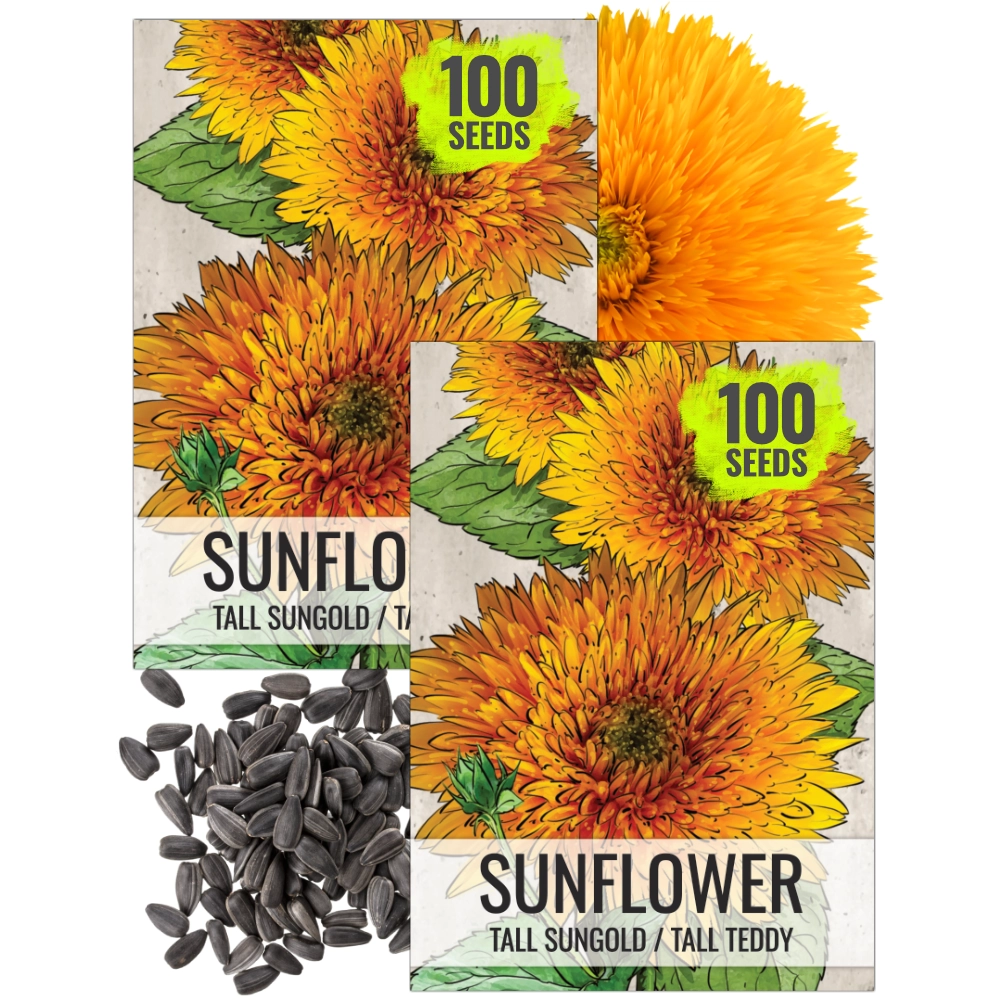 Tall Sungold Sunflower Seeds For Planting (Helianthus annuus) – Seed Needs  LLC