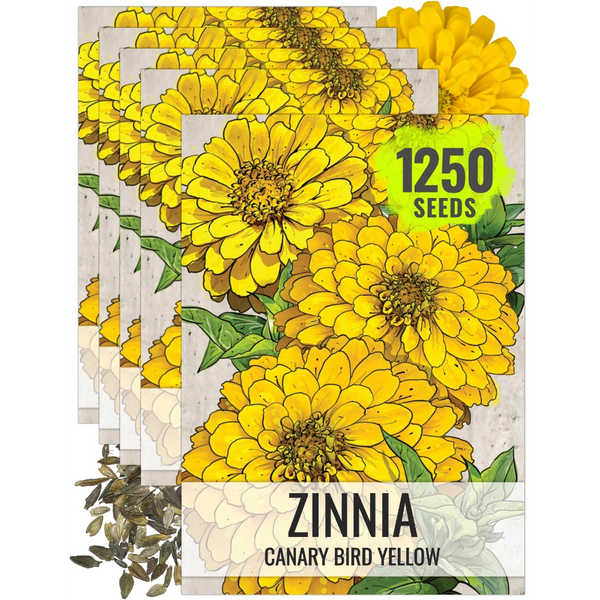 Canary Bird Zinnia Seeds For Planting (Zinnia elegans)