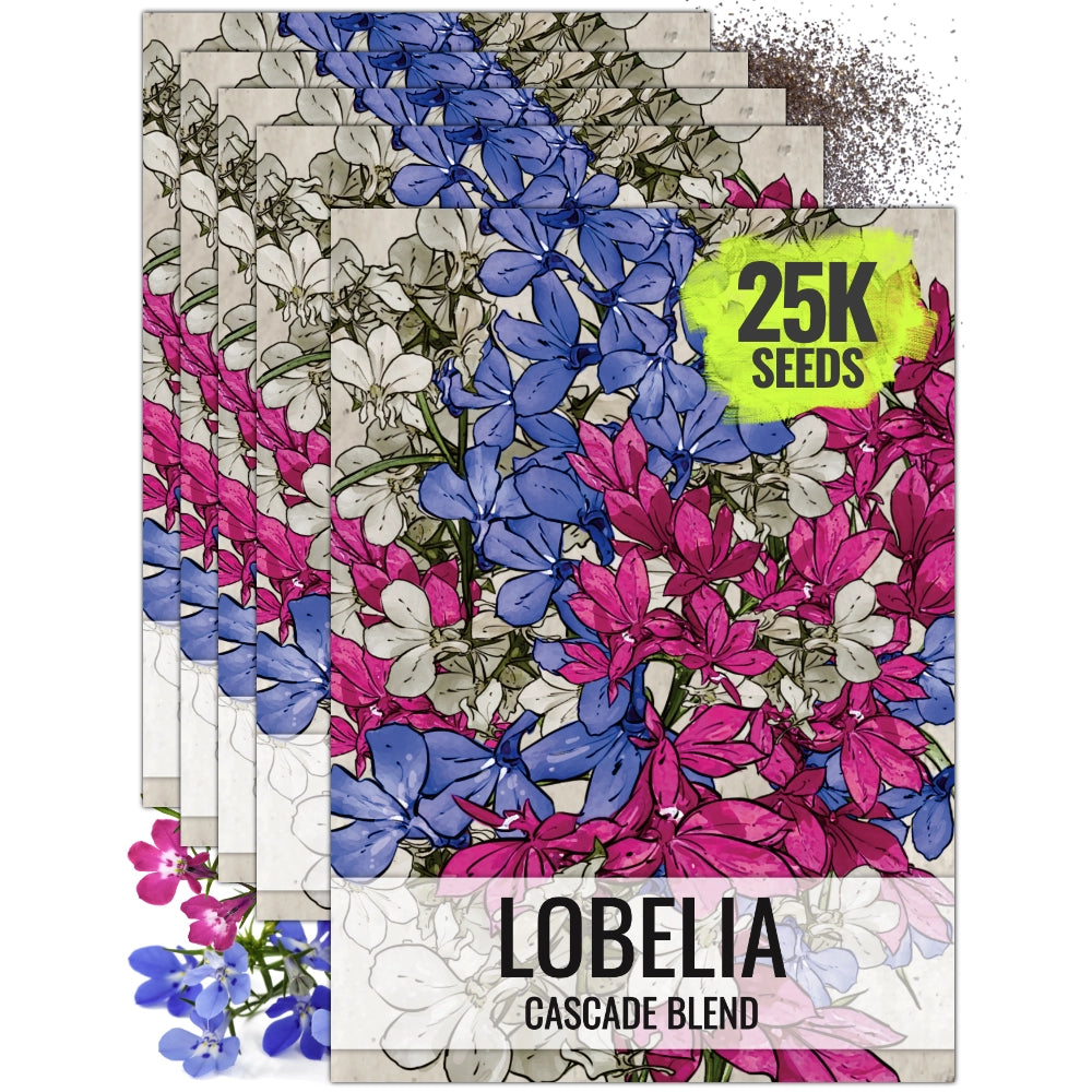 cascading flower seeds Cascade Blend Lobelia Seeds For Planting (Lobelia pendula) Seed Needs – Seed  Needs LLC