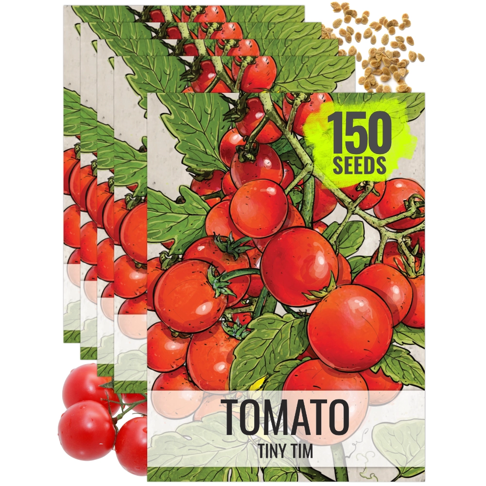 planting tiny tim tomato seeds Tiny Tim Tomato Seeds For Planting (Lycopersicon esculentum) – Seed Needs  LLC