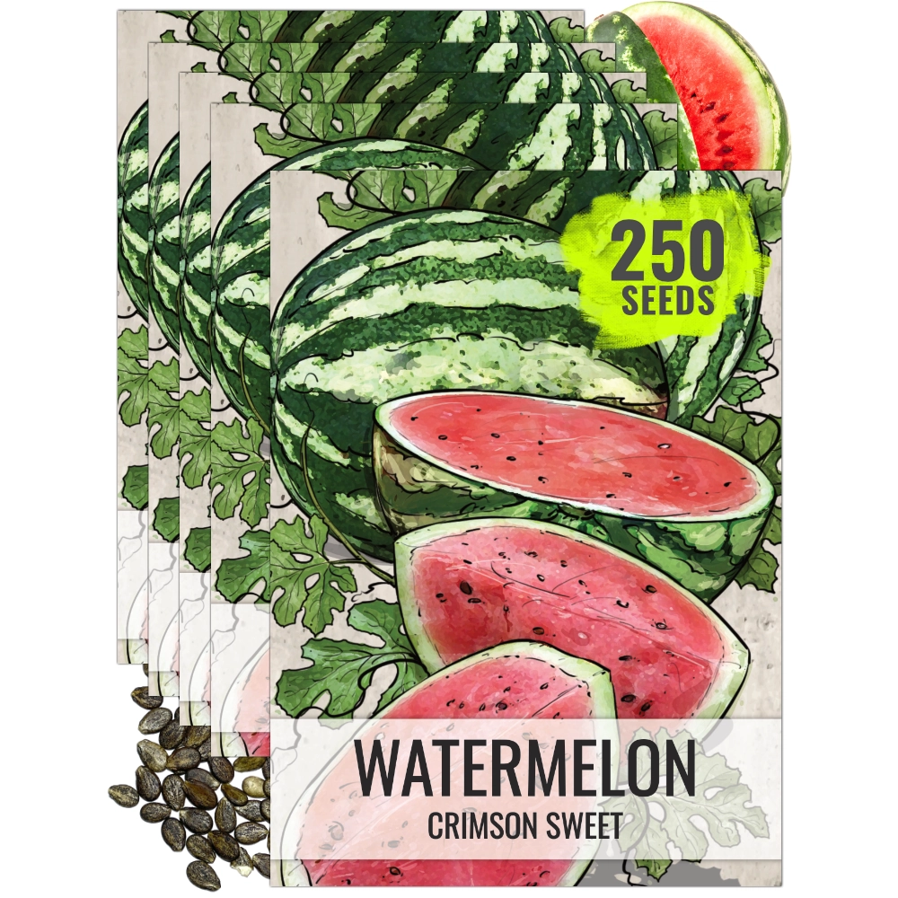Crimson Sweet Watermelon Seeds For Planting (Citrullus lanatus) – Seed  Needs LLC