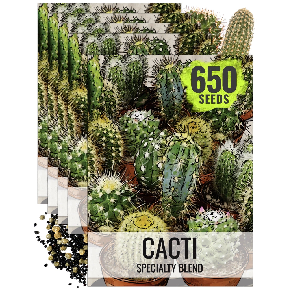 Cacti Blend / Cactus Seeds For Planting