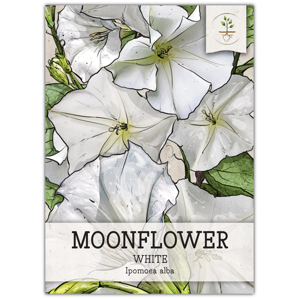 White Moonflower Seeds For Planting - Evening Bloomer (Ipomoea alba)