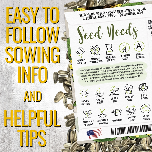 Yellow Pygmy Sunflower Seeds For Planting (Helianthus annuus)
