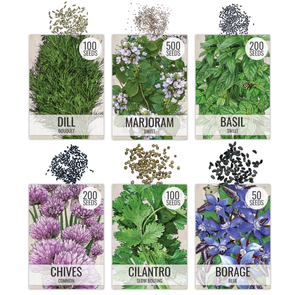 herb seeds or plants Culinary Herb Seed Packet Collection