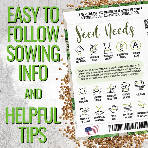 Cilantro Herb Seeds For Planting (Coriandrum sativum)