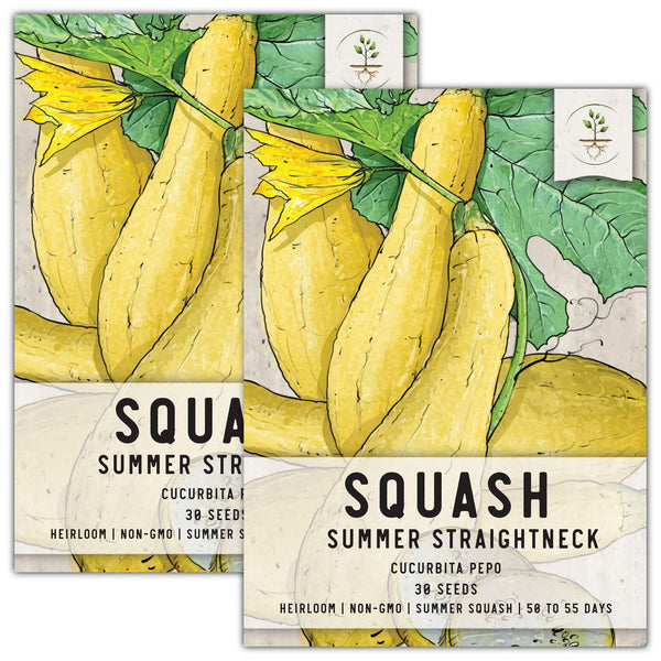 Early Prolific Straightneck Summer Squash Seeds For Planting (Cucurbita pepo)