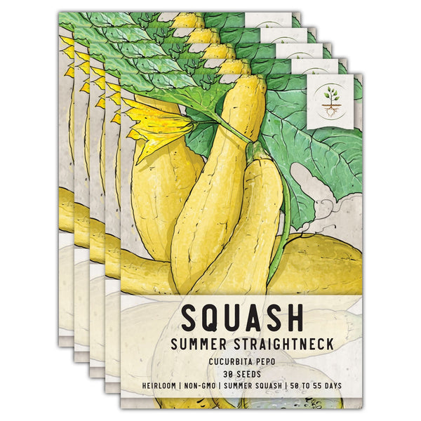 Early Prolific Straightneck Summer Squash Seeds For Planting (Cucurbita pepo)