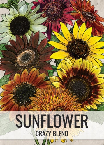 Crazy Mix Sunflower Seed For Planting (Helianthus annuus) 15 Crazy Mix Sunflower Seed For Planting (Helianthus annuus) 15