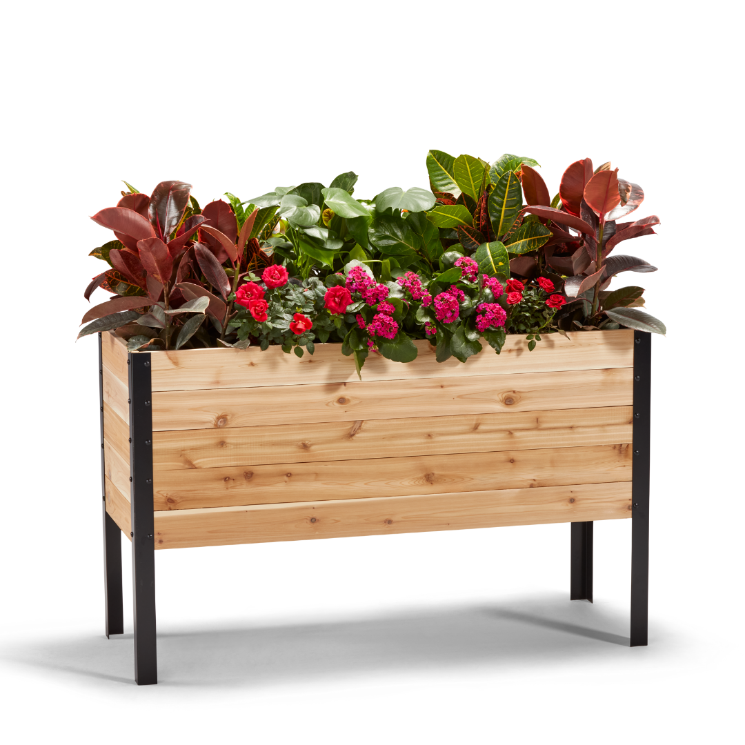 flower seed planter 18" x 48" Raised Garden Bed – Seed Needs LLC