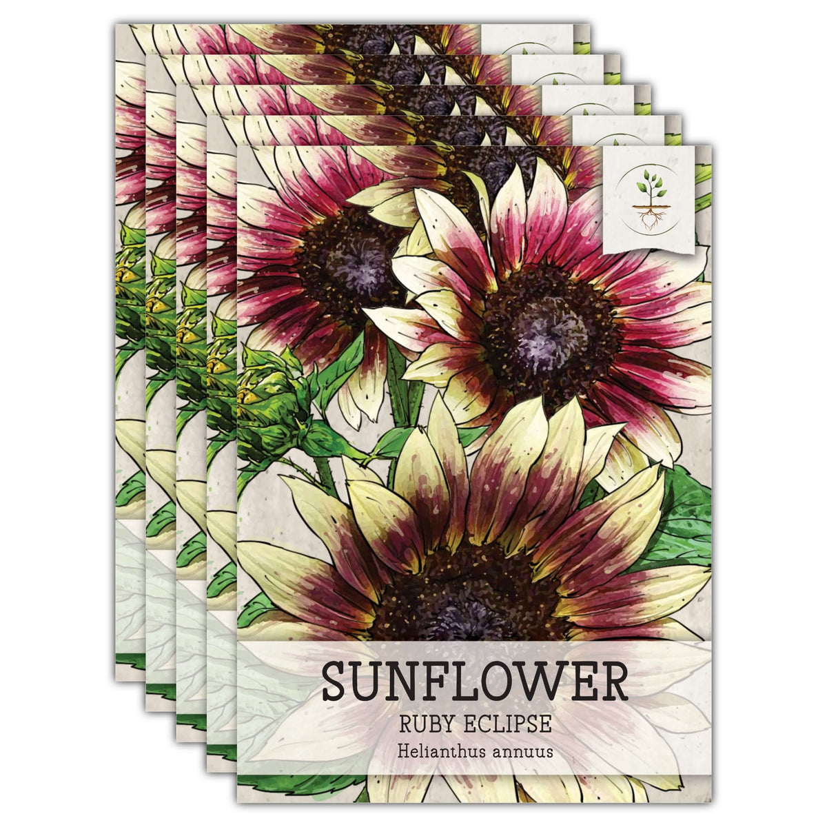 walmart flower seed packets Ruby Eclipse Sunflower Seeds For Planting (Helianthus annuus) – Seed Needs LLC
