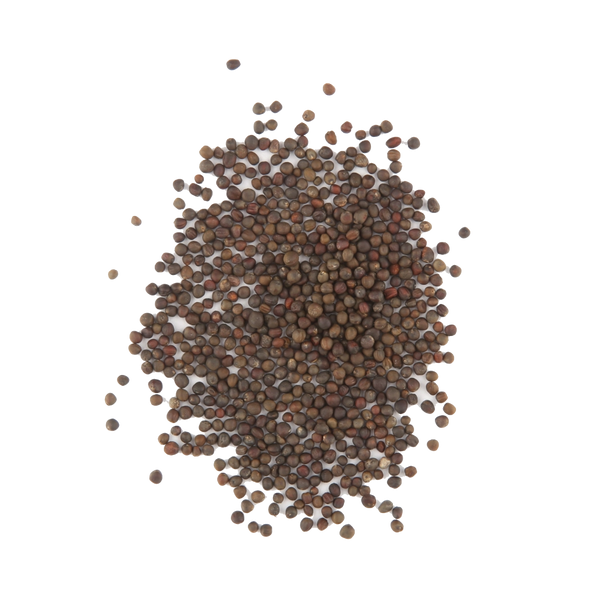 Purple Top Rutabaga Seeds For Planting (Brassica napus)