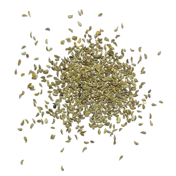 Triple Curled Parsley Seeds For Planting (Petroselinum crispum)