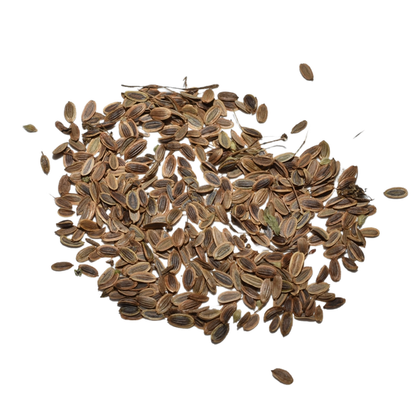 Dill Herb Seeds For Planting (Anethum graveolens)