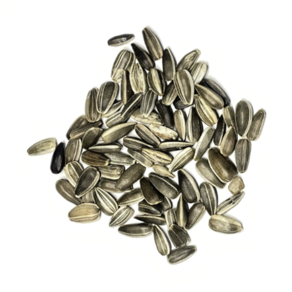 Yellow Pygmy Sunflower Seeds For Planting (Helianthus annuus)