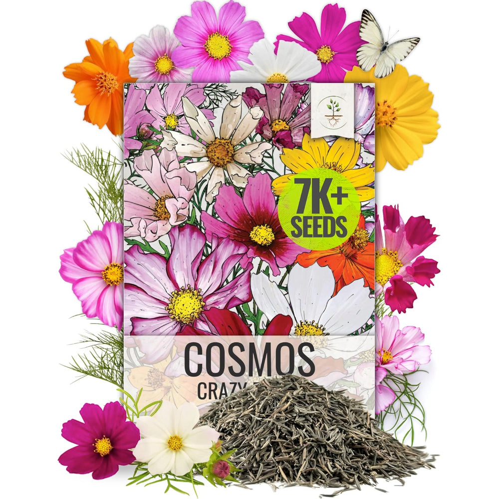 cosmos flower seeds amazon Crazy Blend Cosmos Seeds For Planting – Seed Needs LLC