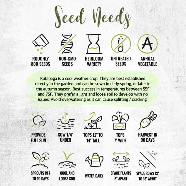 Purple Top Rutabaga Seeds For Planting (Brassica napus)