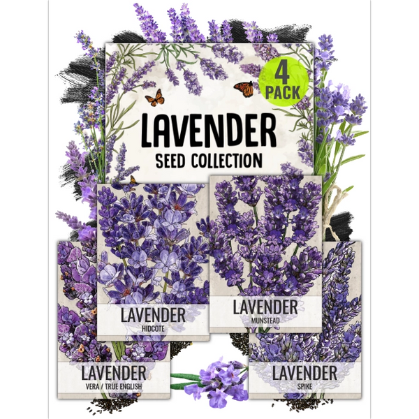 Lavender Seed Collection