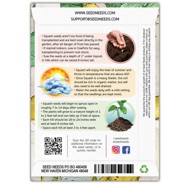 Early Prolific Straightneck Summer Squash Seeds For Planting (Cucurbita pepo)