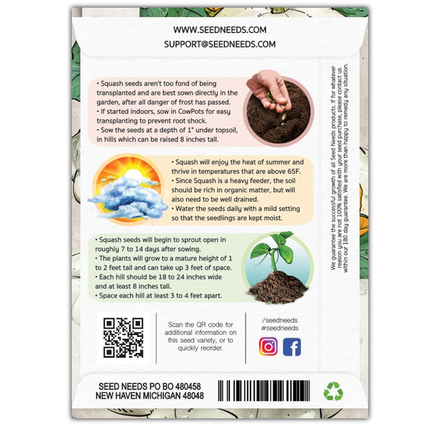 Early White Scallop Summer Squash Seeds For Planting (Cucurbita pepo)