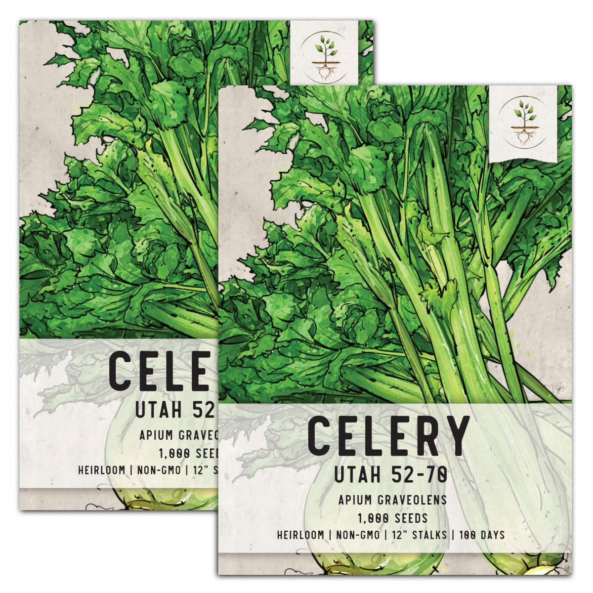 Utah 52-70 Celery Seeds For Planting (Apium graveolens) Seed Needs – Seed  Needs LLC