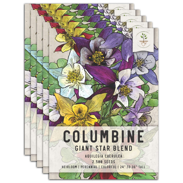 Giant Star, Mckana's Columbine Seeds For Planting (Aquilegia caerulea)