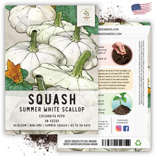 Early White Scallop Summer Squash Seeds For Planting (Cucurbita pepo)