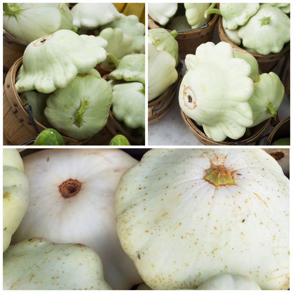 Early White Scallop Summer Squash Seeds For Planting (Cucurbita pepo)