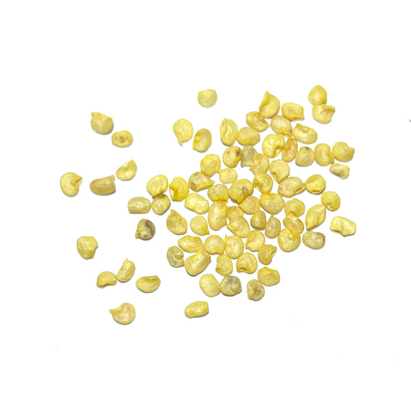 Serrano Chili Pepper Seeds For Planting (Capsicum annuum)