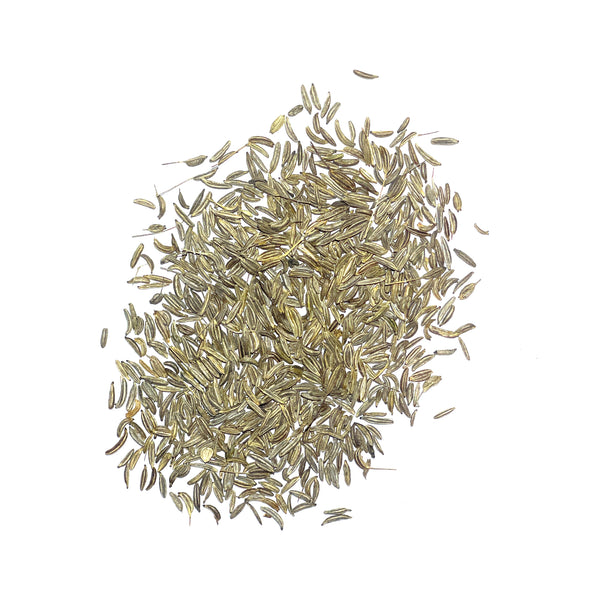 Caraway Herb Seeds For Planting (Carum carvi)