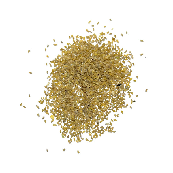 Mountain Phlox Seeds For Planting (Linanthus grandiflorus)