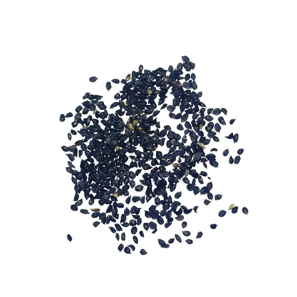 Grenadin White Carnation Seeds For Planting (Dianthus caryophyllus)