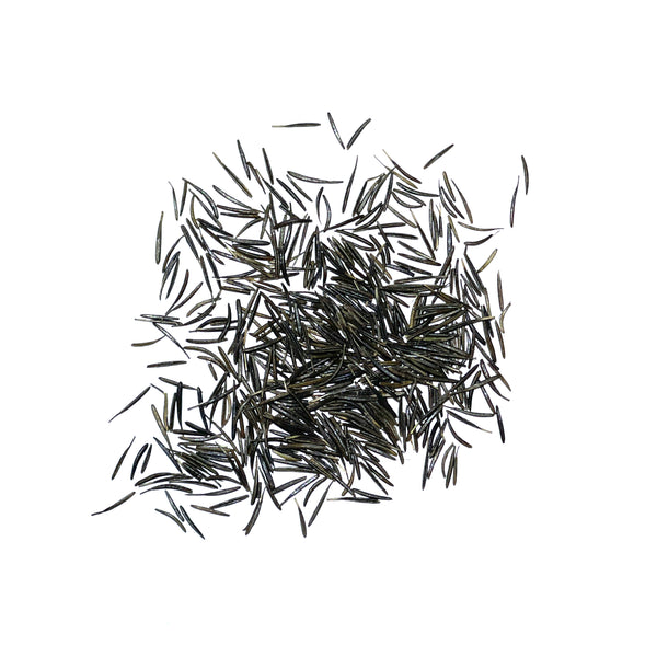 Chervil Herb Seeds For Planting (Anthriscus cerefolium)