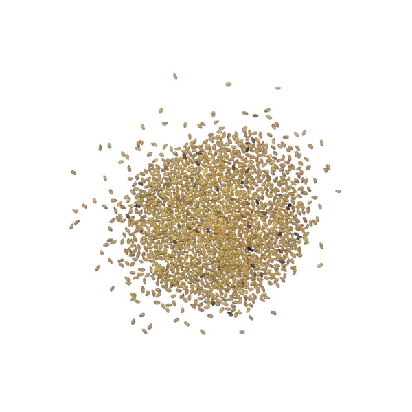 California Bluebell Seeds For Planting (Phacelia campanularia)