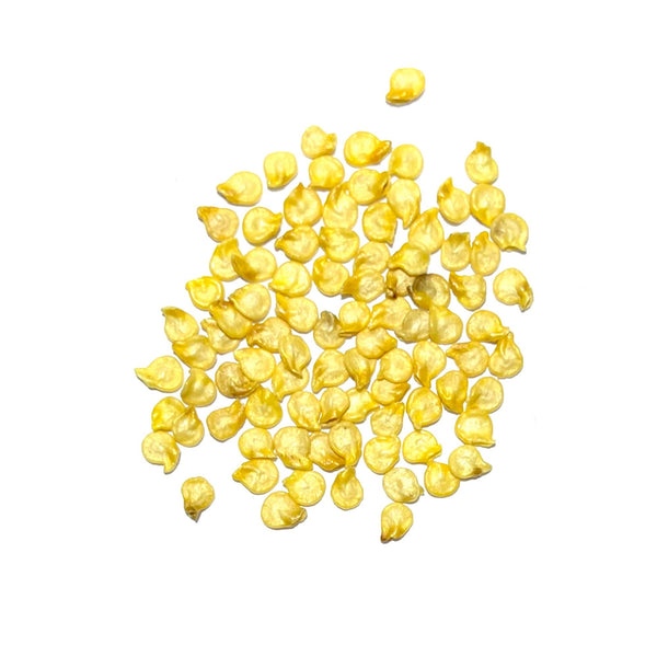 Red Habanero Pepper Seeds For Planting (Capsicum chinense)