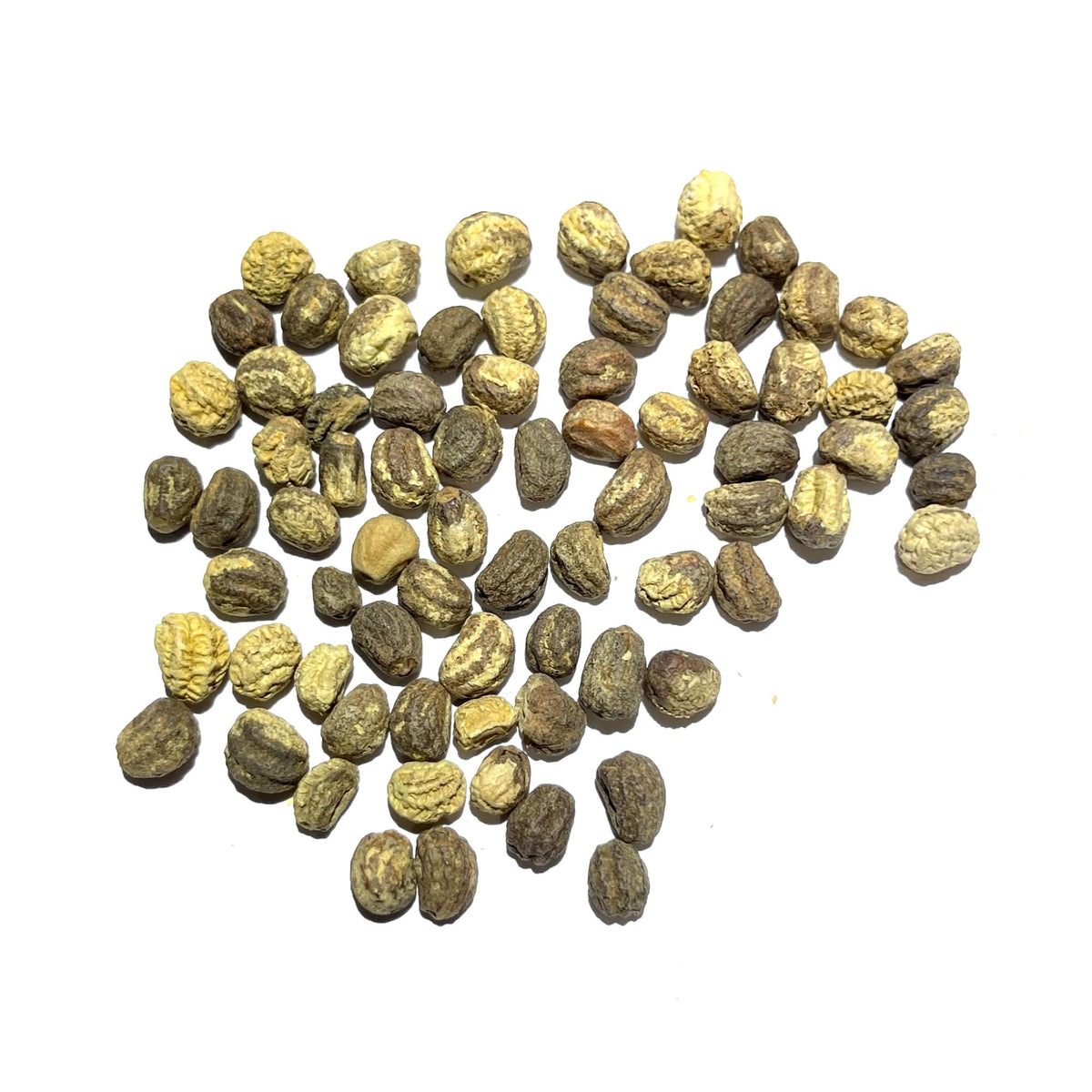 nasturtium cherry rose seeds Cherry Rose Nasturtium Seeds For Planting (Tropaeolum minus) – Seed Needs  LLC